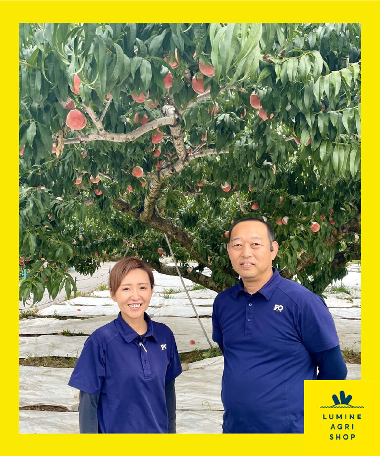 LUMINE AGRI SHOP「【朝採れが美味しさの秘訣】山梨白桃1.8kg」|果物・野菜|