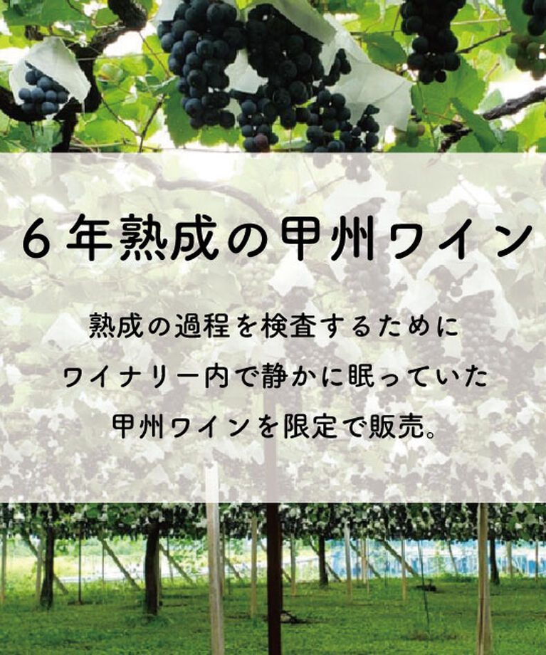LUMINE AGRI SHOP「アルプスワイン「甲州２０１８」」|ワイン|