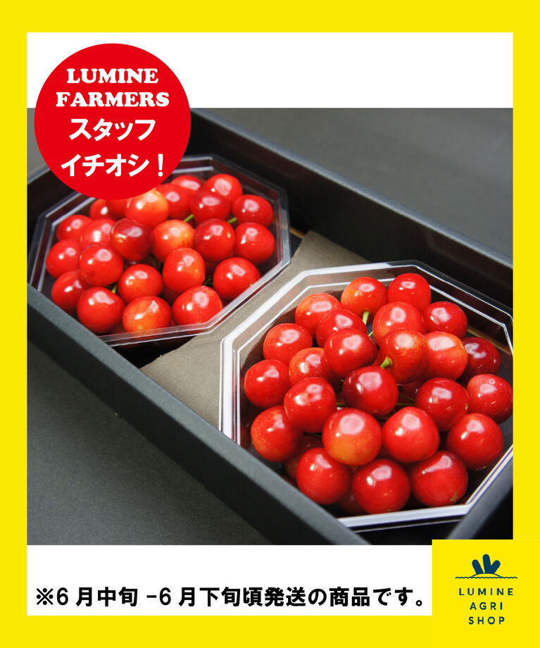 LUMINE AGRI SHOP「【L-FARMERS】高橋会長の自信作さくらんぼ！佐藤錦」|果物・野菜|その他
