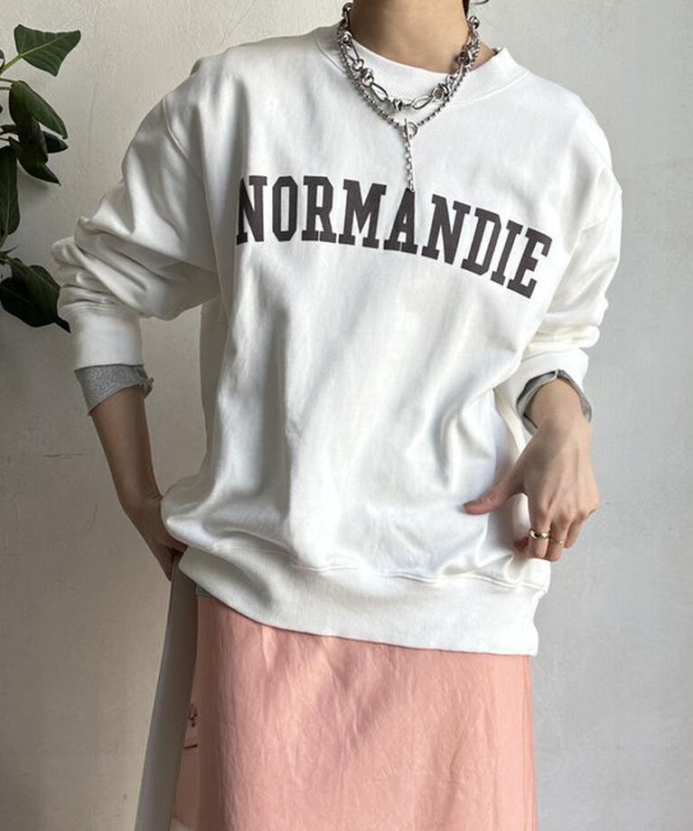  「【新色追加】【WEB限定】裏毛フロッキープリントスウエット 」|Tシャツ・カットソー|