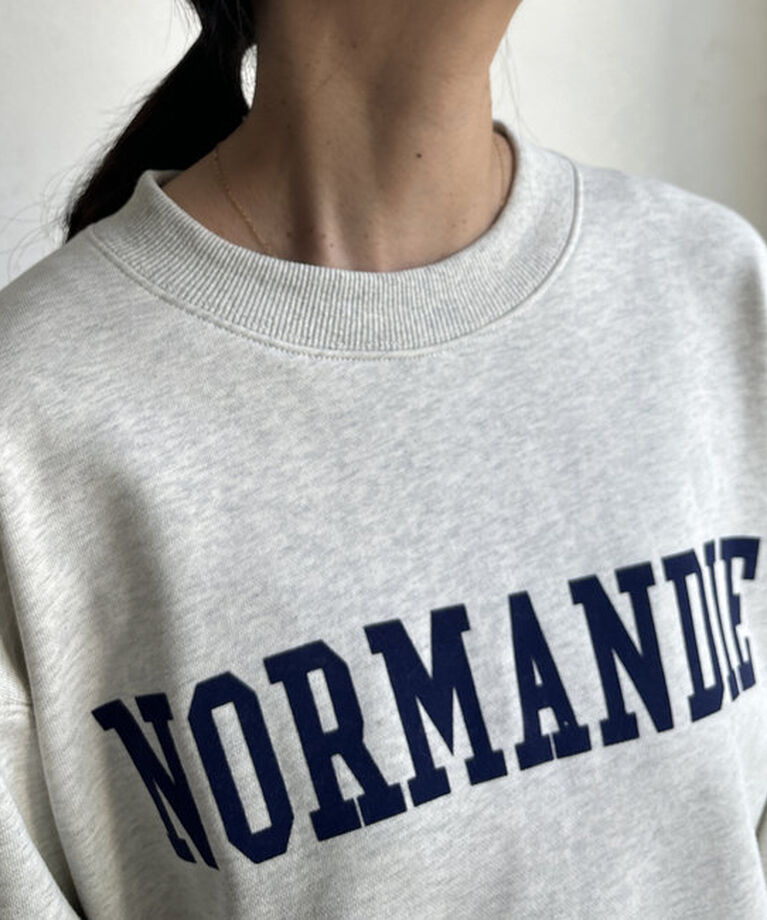  「【新色追加】【WEB限定】裏毛フロッキープリントスウエット 」|Tシャツ・カットソー|