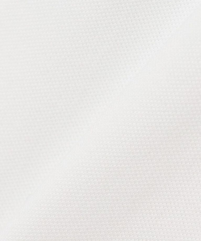 SHIPS any「【SHIPS any別注】LACOSTE: ワンポイント ピケ クルーネック Tシャツ (ロンT)◇」|Tシャツ・カットソー|
