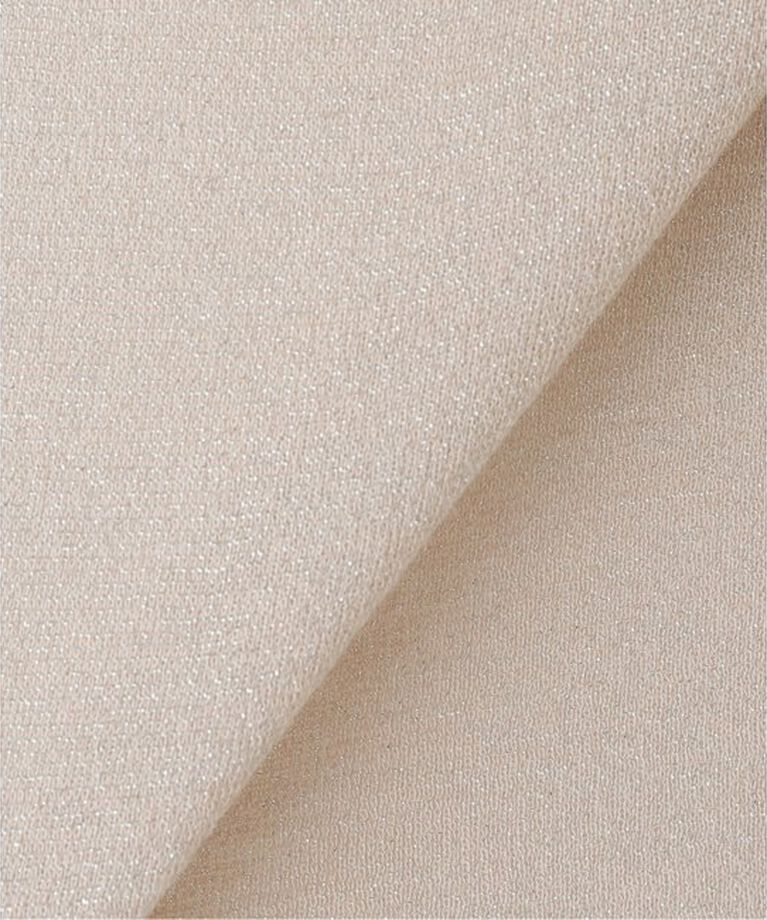 JOURNAL STANDARD「シアーラメプルオーバー」|Tシャツ・カットソー|
