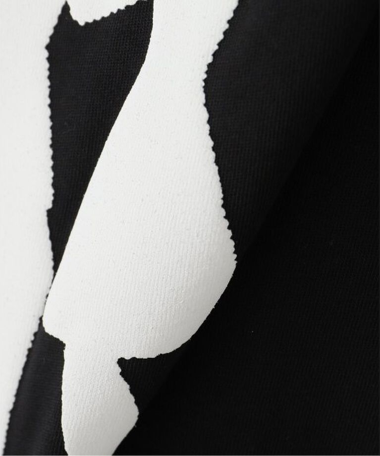  「LOOSEJOINTS TOMOO GOKITA SILHOUETTE ROMA LS25JS008TG：Tシャツ」|Tシャツ・カットソー|