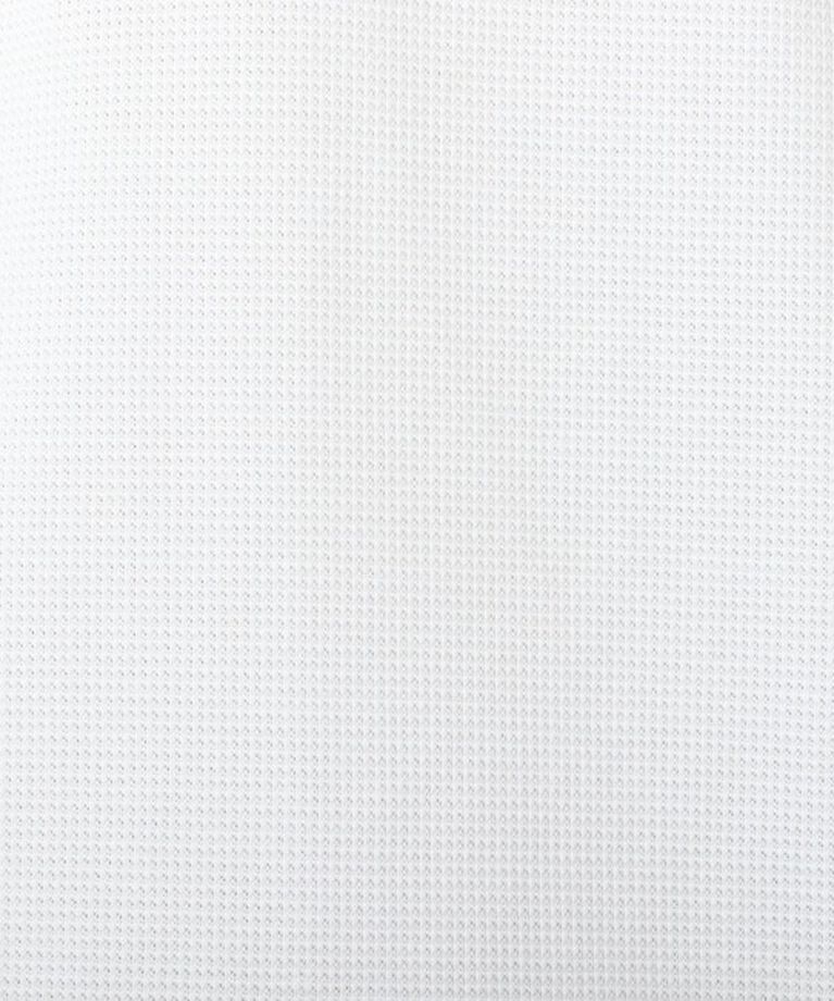 NOLLEY'S goodman「《ビジカジ対応》【ALBINI】吸水速乾クジラBD Polo 25SS」|ポロシャツ|