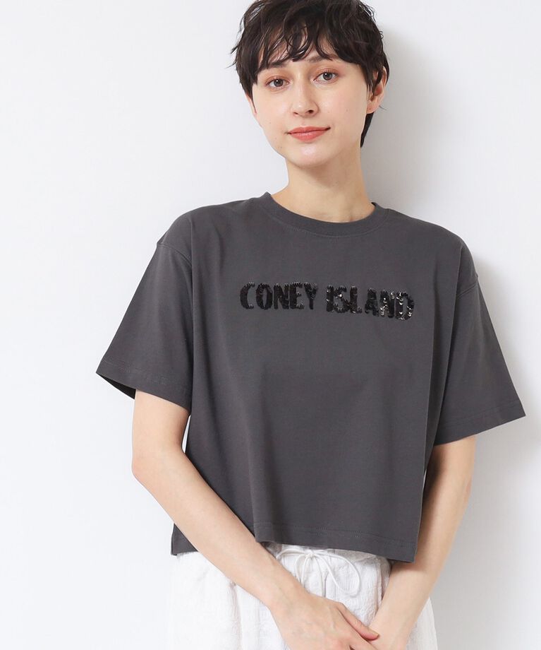 Dessin「【洗える】スパンコールロゴTシャツ（XS～L）」|Tシャツ・カットソー|チャコールグレー(0