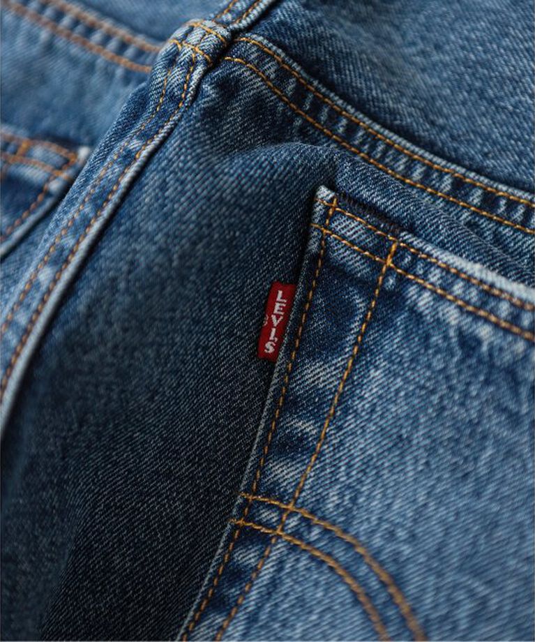 JOURNAL STANDARD relume「LEVI’S(R)/リーバイス(R) 別注 501(R) Selvedge Paint Splatters L30」|デニム|