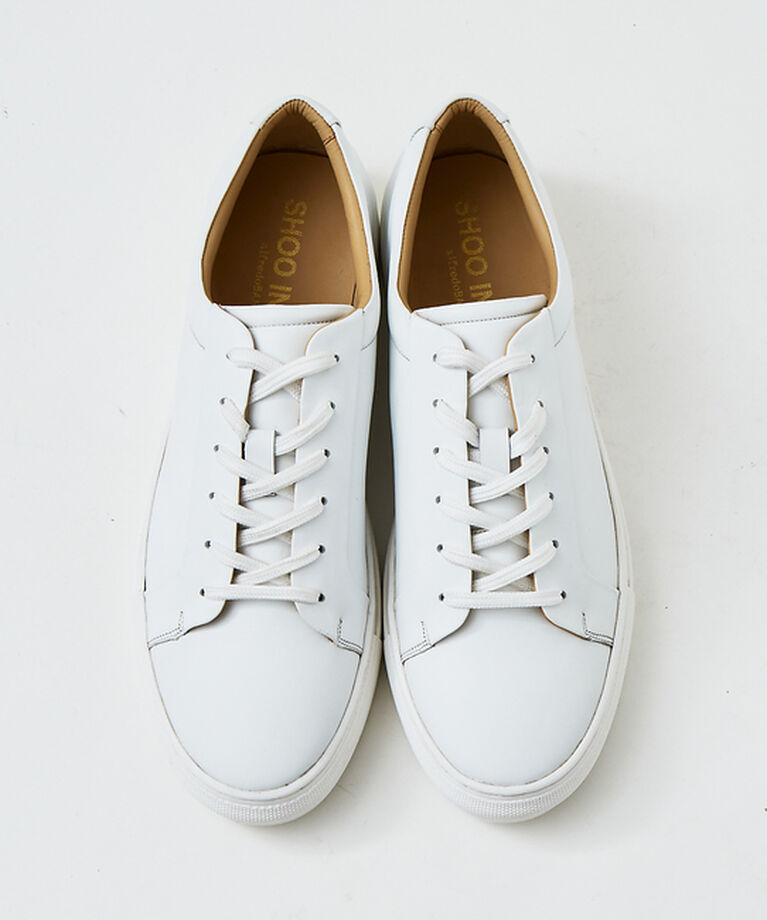 alfredoBANNISTER「【SHOO IN SHOE】究極のベーシック オールレザースニーカー」|スニーカー|