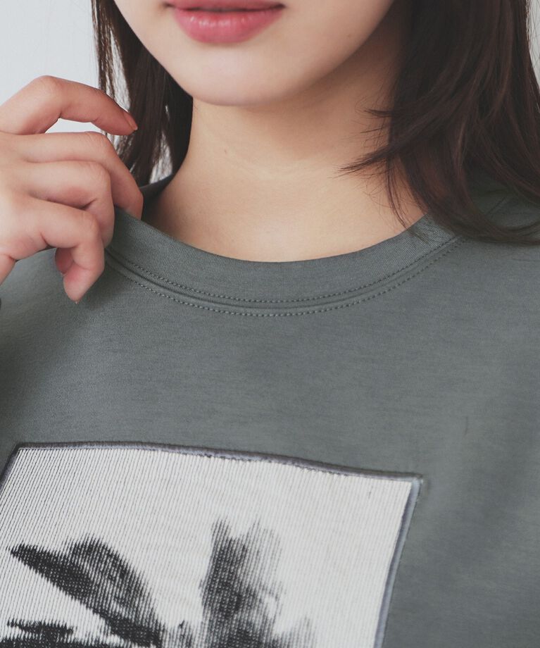 index「フォト刺繍トップス【洗濯機洗い可】」|Tシャツ・カットソー|