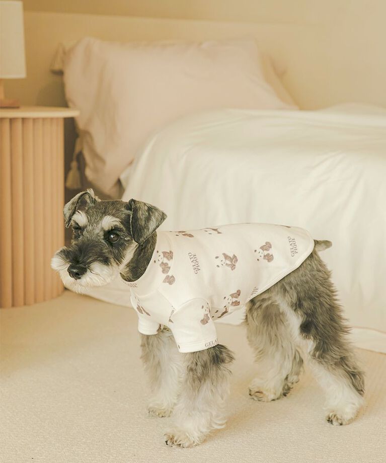  GELATO PIQUE CAT&DOG「【CAT&DOG】パンダ柄プルオーバー」|その他|OWHT