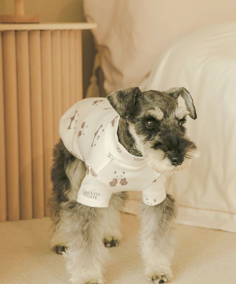  GELATO PIQUE CAT&DOG「【CAT&DOG】パンダ柄プルオーバー」|その他|