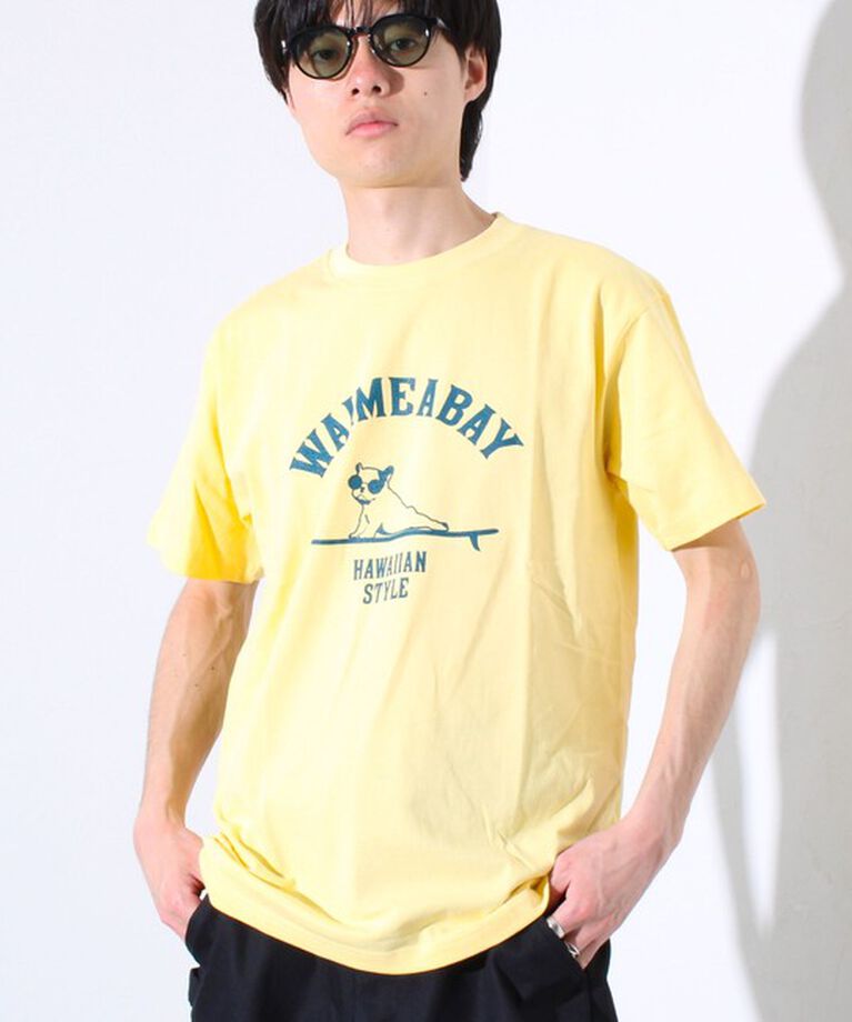 GLOSTER「【GLOSTER/グロスター】ハワイヌ ワイメアベイ クルーネック プリントTシャツ」|Tシャツ・カットソー|