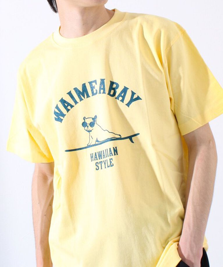 GLOSTER「【GLOSTER/グロスター】ハワイヌ ワイメアベイ クルーネック プリントTシャツ」|Tシャツ・カットソー|
