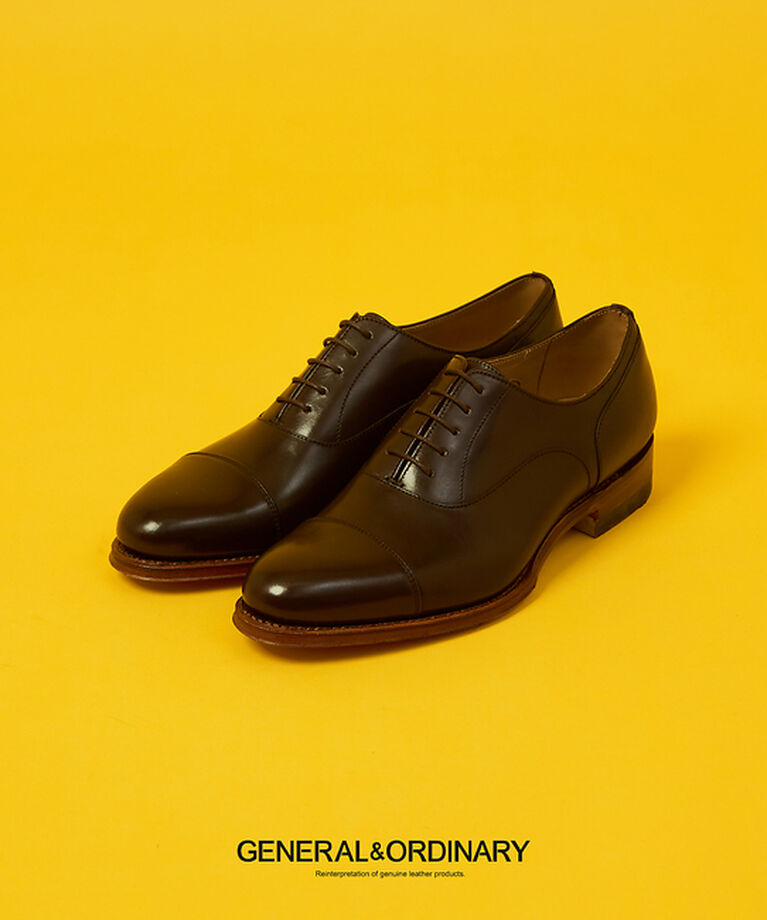 alfredoBANNISTER「【GENERAL&ORDINARY】内羽根ストレートチップシューズ」|ビジネス・ドレスシューズ|ダークブラウン