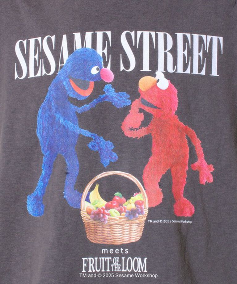 GLOSTER「【SESAME STREET×FOTL】Photo T-Shirt A クルーネックプリントTシャツ」|Tシャツ・カットソー|