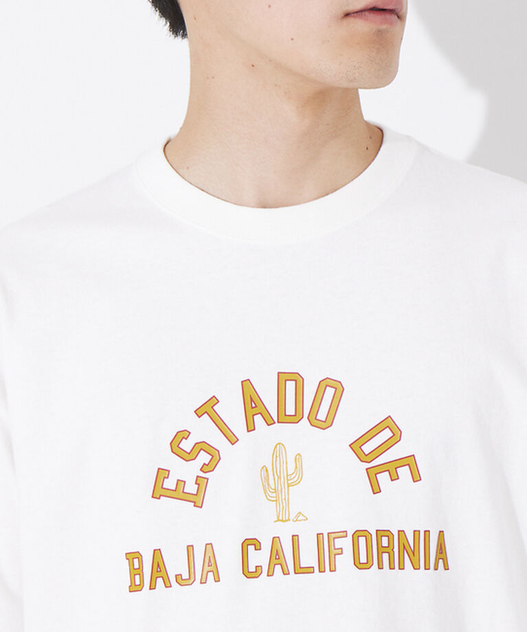 ABAHOUSE「サボテンカレッジロゴ Tシャツ」|Tシャツ・カットソー|