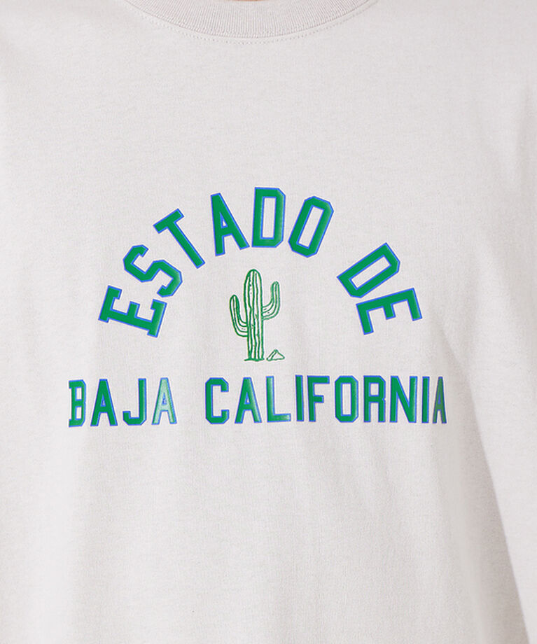 ABAHOUSE「サボテンカレッジロゴ Tシャツ」|Tシャツ・カットソー|